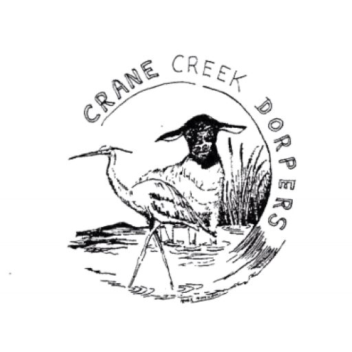 logo main