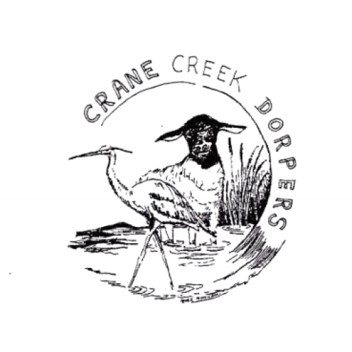 logo main